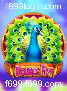 Explorando o Universo de DoubleFly